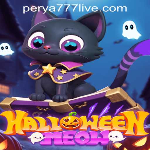 HalloweenMeow: A Spooky and Fun Adventure Awaits